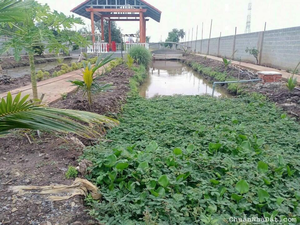 Chính chủ làm việc trực tiếp không qua trung gian 