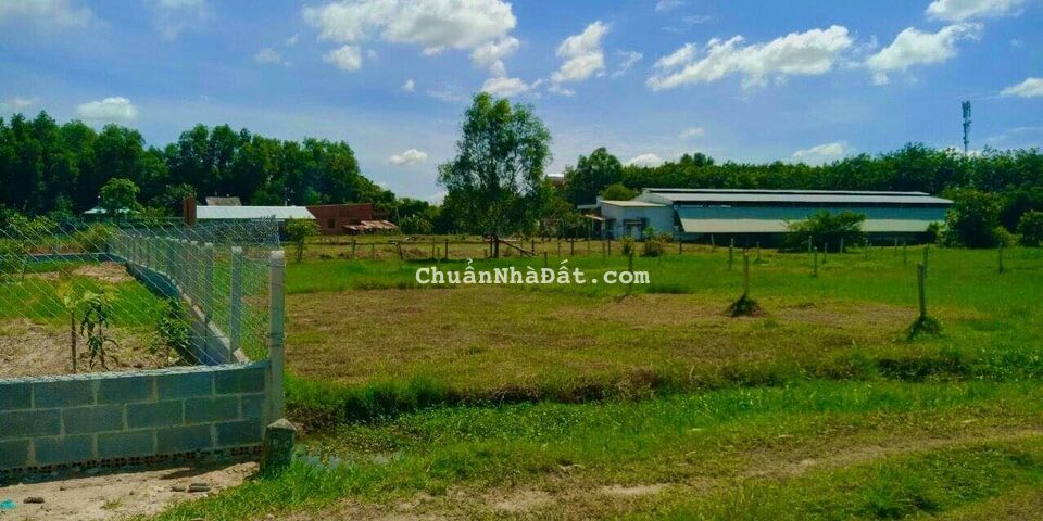 Khai xuân đầu năm lô đất vườn Củ Chi rẻ nhất thị trường 