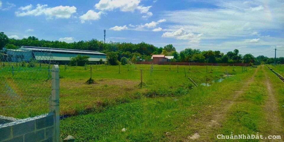 Khai xuân đầu năm lô đất vườn Củ Chi rẻ nhất thị trường 