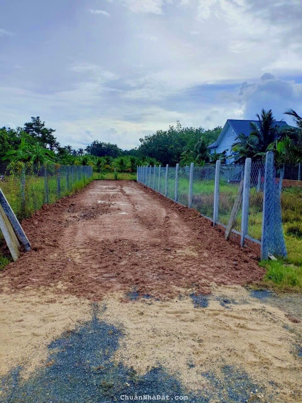 Đất Gò Dầu cách An Sương 35km - Vị trí đẹp - Sổ hồng riêng Đất Gò Dầu cách An Sương 35km - Vị trí đẹp - Sổ hồng riêng