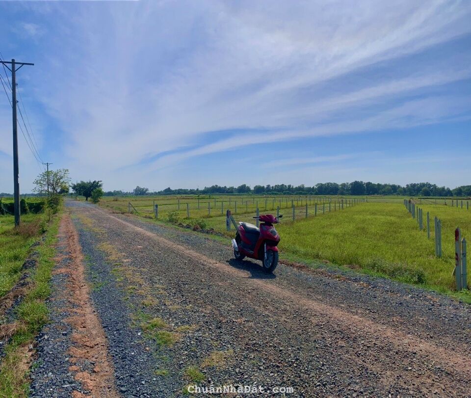 ĐÁO HẠN NGÂN HÀNG CẦN BÁN GẤP LÔ ĐẤT THỔ VƯỜN GIÁ RẺ ĐÁO HẠN NGÂN HÀNG CẦN BÁN GẤP LÔ ĐẤT THỔ VƯỜN GIÁ RẺ