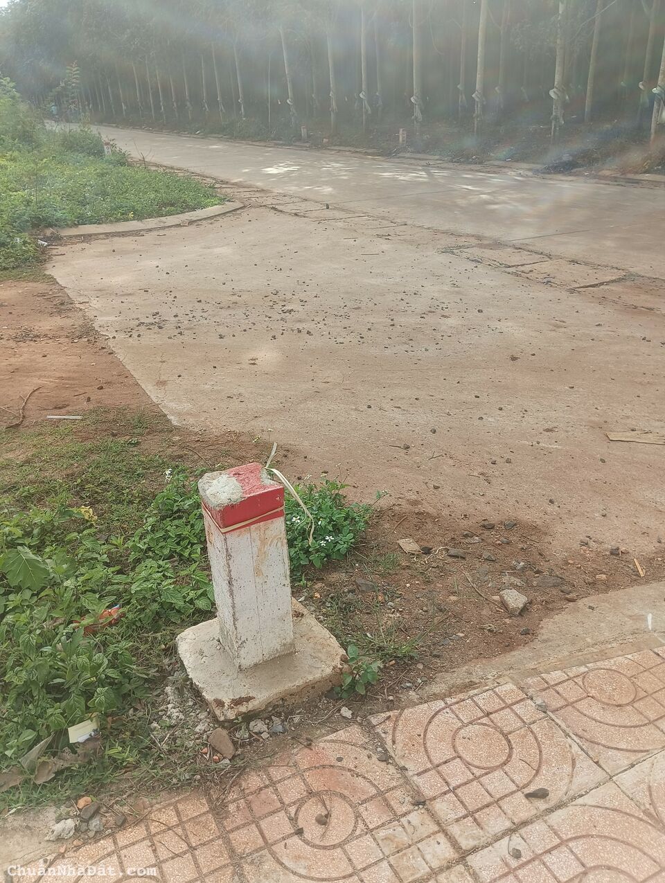 Sốt đất Đak Lak - Nhà đầu tư săn tìm quỹ đất ngay KDC Phú Lộc, Krông Năng 