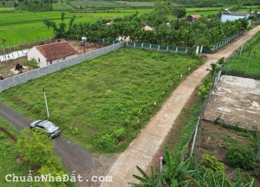 Đất trồng cây quy hoạch đất ở 1.000m2 góc 2 măt tiền, giá 2tỷ350 (Chính chủ O9O39OOO65)