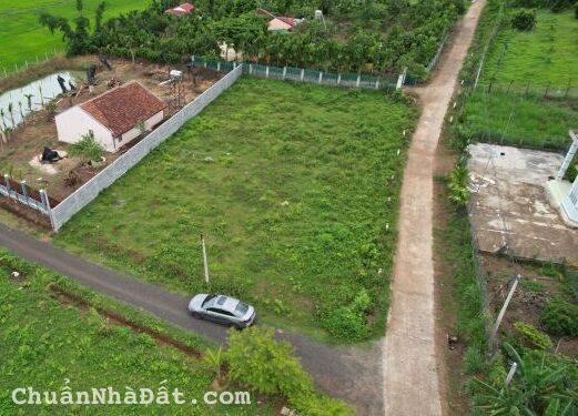 Đất trồng cây quy hoạch đất ở 1.000m2 góc 2 măt tiền, giá 2tỷ350 (Chính chủ O9O39OOO65)