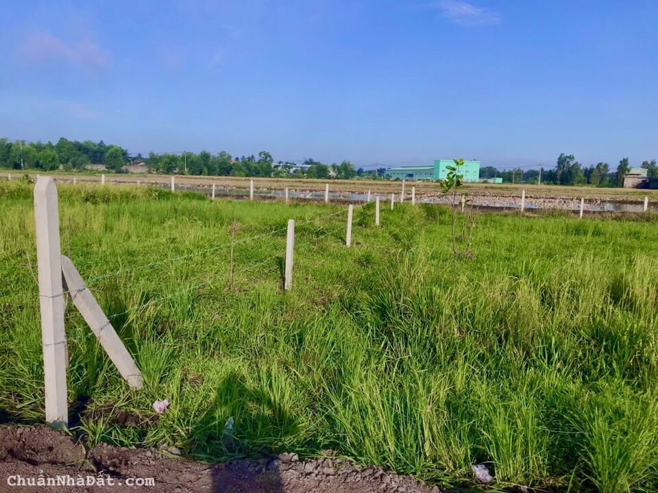 Mở rộng quán Bida cần bán rẻ 2 sổ đất trồng cây giá rẻ 1 tỷ mốt (LH O9O39OOO65)