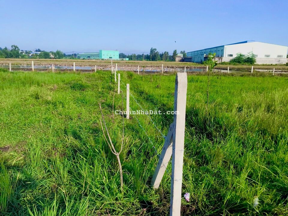 Mở rộng quán Bida cần bán rẻ 2 sổ đất trồng cây giá rẻ 1 tỷ mốt (LH O9O39OOO65)