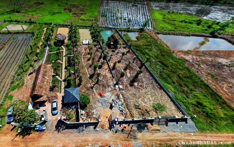 Đất làm xưởng 1.200m² giá 1tỷ2 gần chợ, ngay ngã 4 Quốc Lộ 22 - Tỉnh Lộ 7