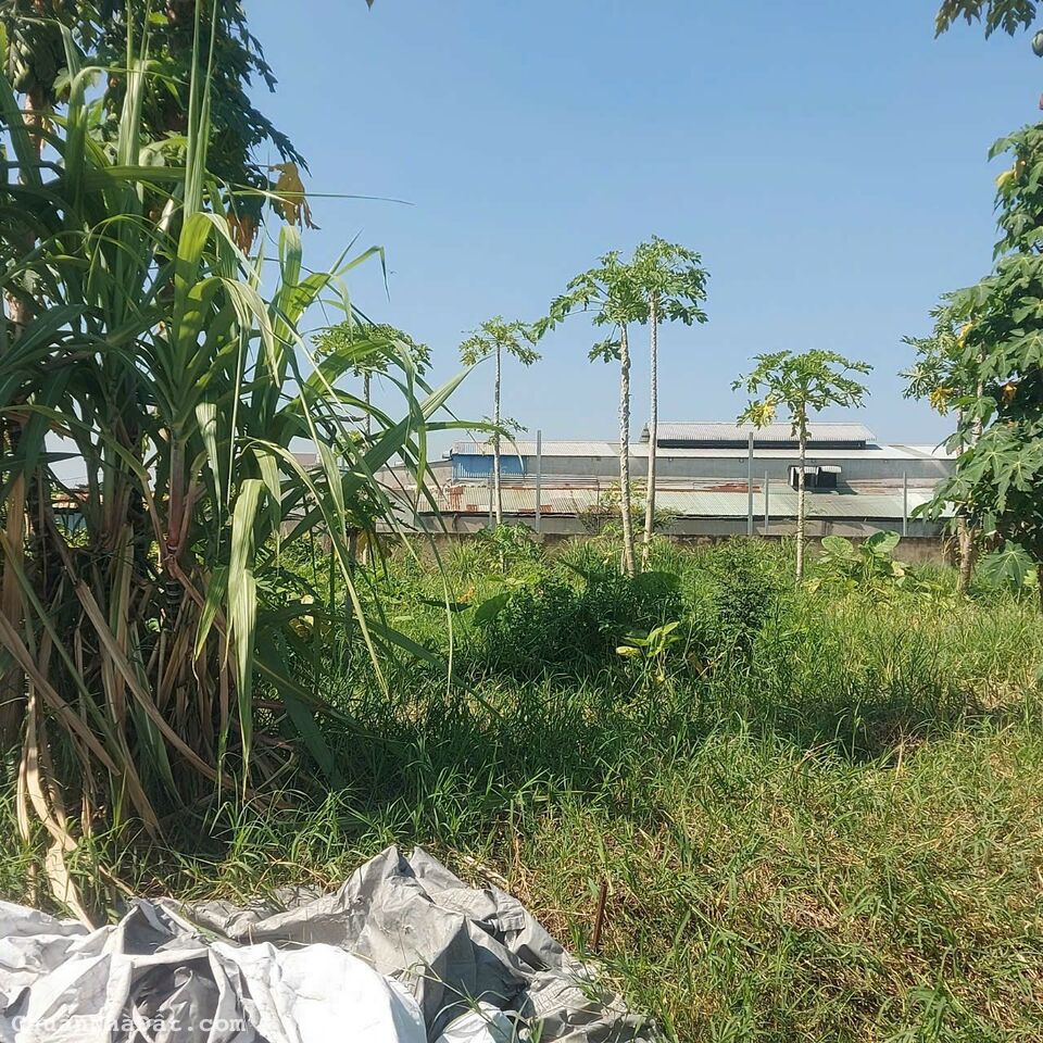 Chính chủ ngộp bank bán rẻ 500m2 đất giá một tỷ mốt, ngay chợ Phước Thạnh, Tỉnh Lộ 7. Chính chủ ngộp bank bán rẻ 500m2 đất giá một tỷ mốt, ngay chợ Phước Thạnh, Tỉnh Lộ 7.