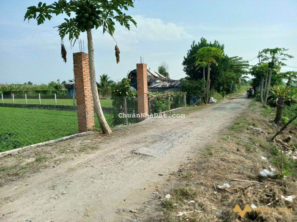 Chính chủ ngộp, cần bán gấp 500m2 quy hoạch khu dân cư 1tỷ4 Chính chủ ngộp, cần bán gấp 500m2 quy hoạch khu dân cư 1tỷ4