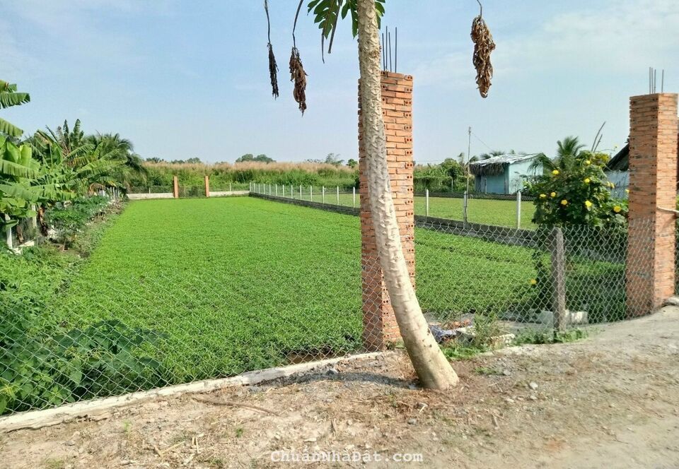 Chính chủ ngộp, cần bán gấp 500m2 quy hoạch khu dân cư 1tỷ4 Chính chủ ngộp, cần bán gấp 500m2 quy hoạch khu dân cư 1tỷ4