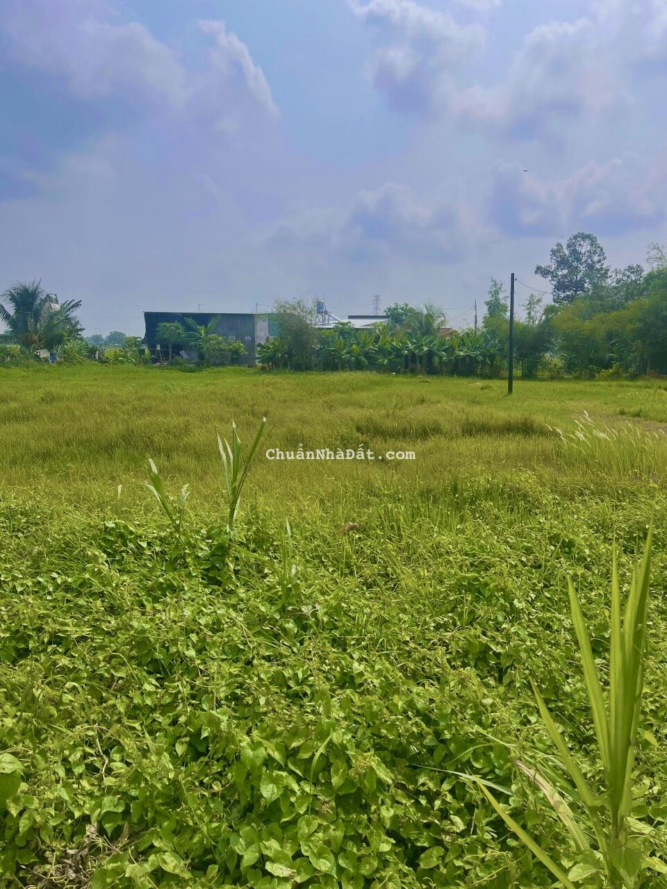 Đất xã Phước Thạnh 756m2 giá 900tr, sổ riêng quy hoạch đất ở, phủ hồng