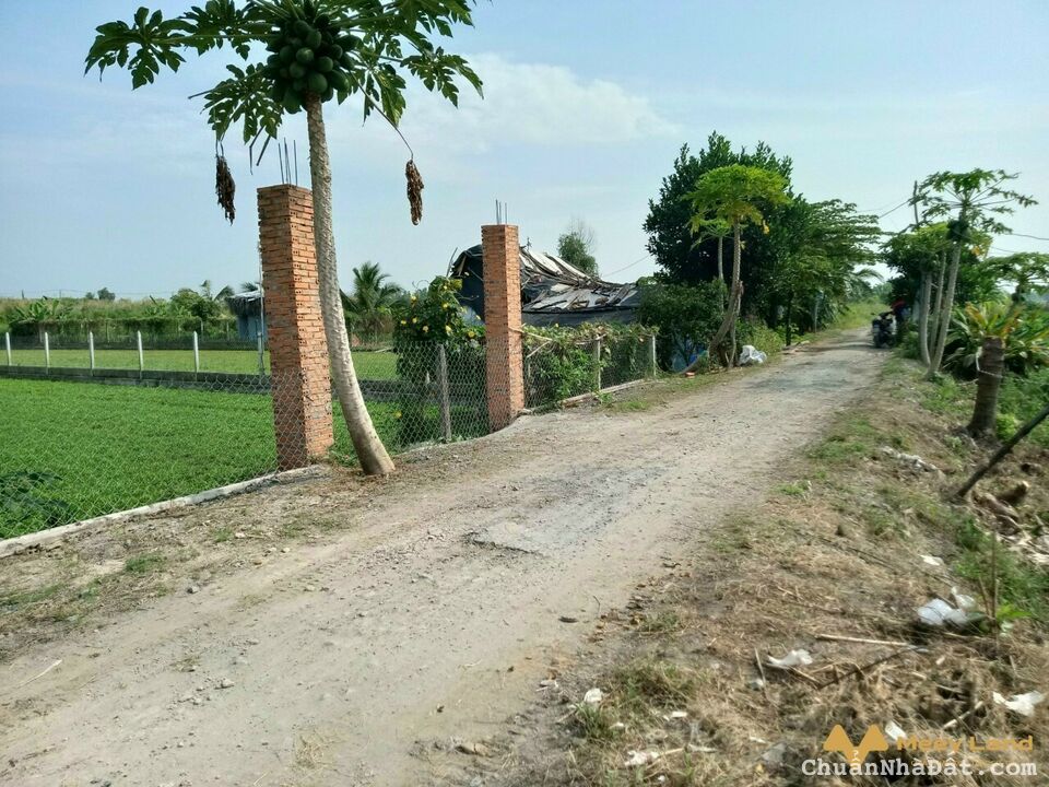 Bán gấp 2 sào đất cách nhựa Võ Văn Điều 50m, giá 2tỷ4