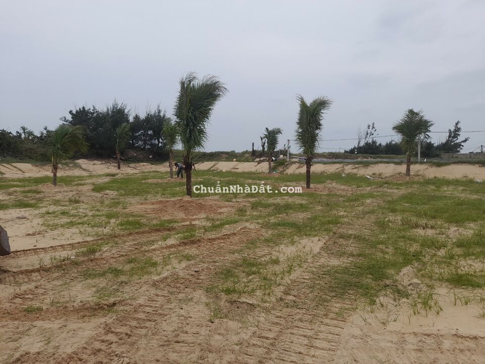 Chủ gửi chào bán lô đất 4000m2 đất biển xã Bình Hải, huyện Thăng Bình Chủ gửi chào bán lô đất 4000m2 đất biển xã Bình Hải, huyện Thăng Bình