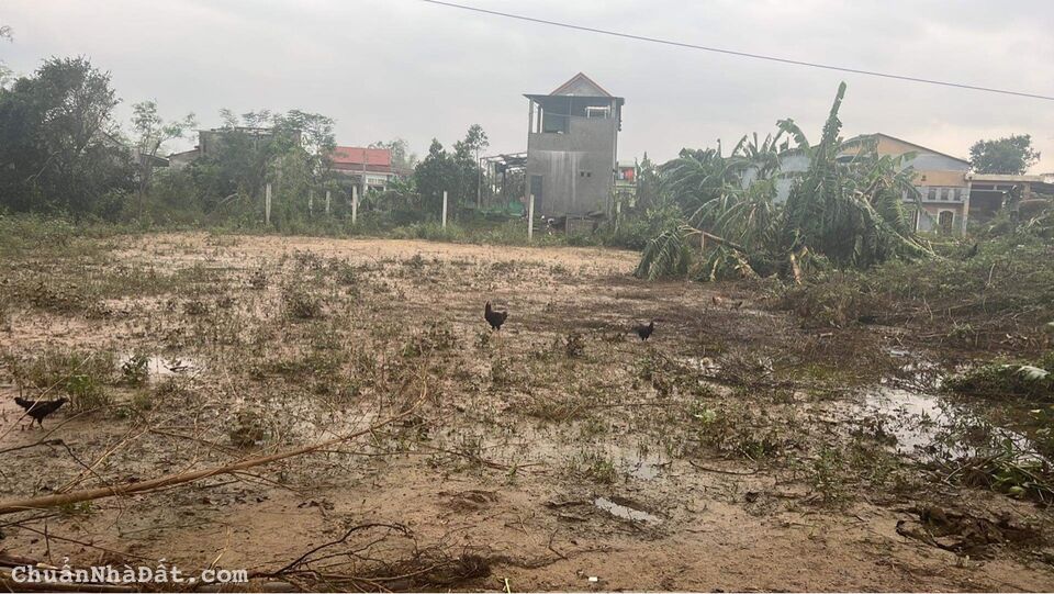 tôi chinh chủ cần bán gấp lô đất 246m2 tại xã điện phong giá rẻ tôi chinh chủ cần bán gấp lô đất 246m2 tại xã điện phong giá rẻ