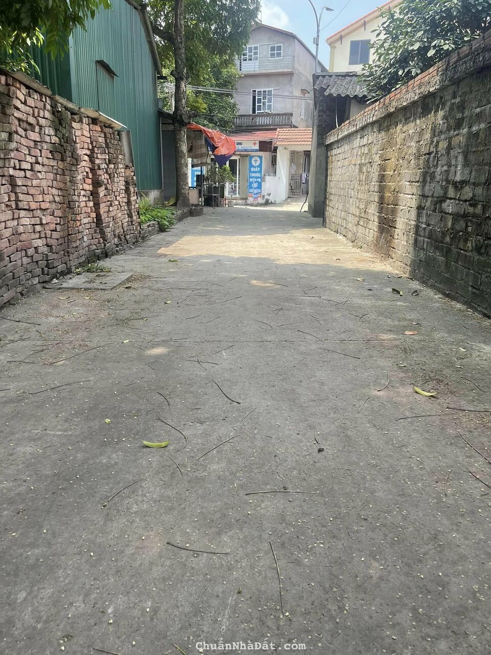 Bán đất thổ cư: Nghĩa Trai, Tân Quang, Văn Lâm, HY: 0988663893 Bán đất thổ cư: Nghĩa Trai, Tân Quang, Văn Lâm, HY: 0988663893