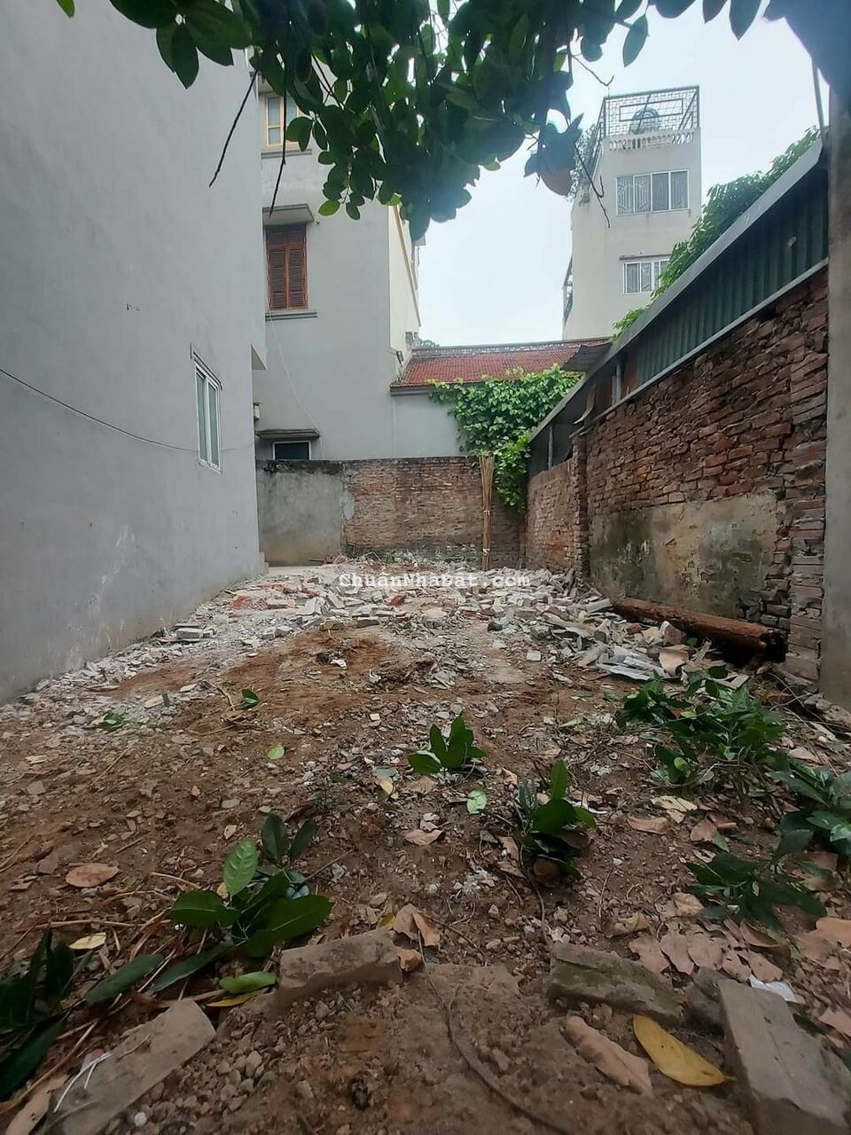 Bán đất Phúc Lợi, Long Biên. 70m2 mt 5m. Gần Ô tô 10m. Giá 2.5 Tỷ Bán đất Phúc Lợi, Long Biên. 70m2 mt 5m. Gần Ô tô 10m. Giá 2.5 Tỷ