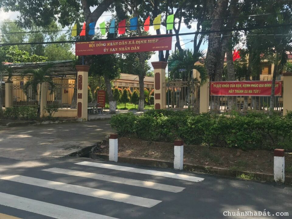 Cô năm cần bán gấp lô đất 231m2 tại Bình Dương giá bán lỗ Cô năm cần bán gấp lô đất 231m2 tại Bình Dương giá bán lỗ