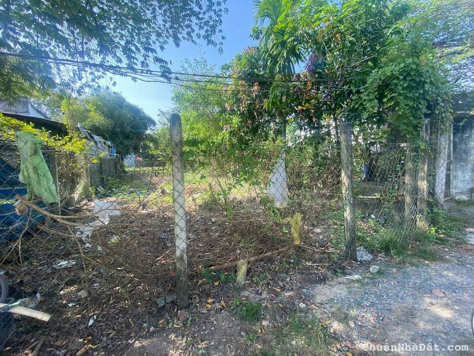 cuối năm khó khăn cần bán gấp lô đất 189m2 tại Phước Đông Gò Dầu Tây Ninh . 