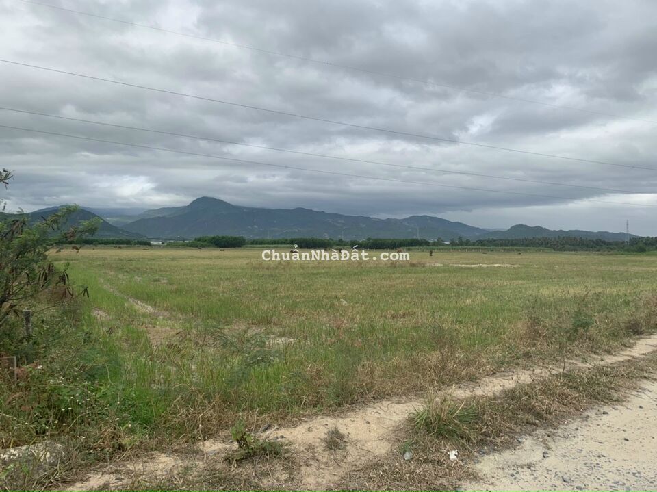 💵 Một lô duy nhất phù hợp Thổ Cư vs diện tích 2089 m2 giá chí 1.X triệu/m2 💵 Một lô duy nhất phù hợp Thổ Cư vs diện tích 2089 m2 giá chí 1.X triệu/m2