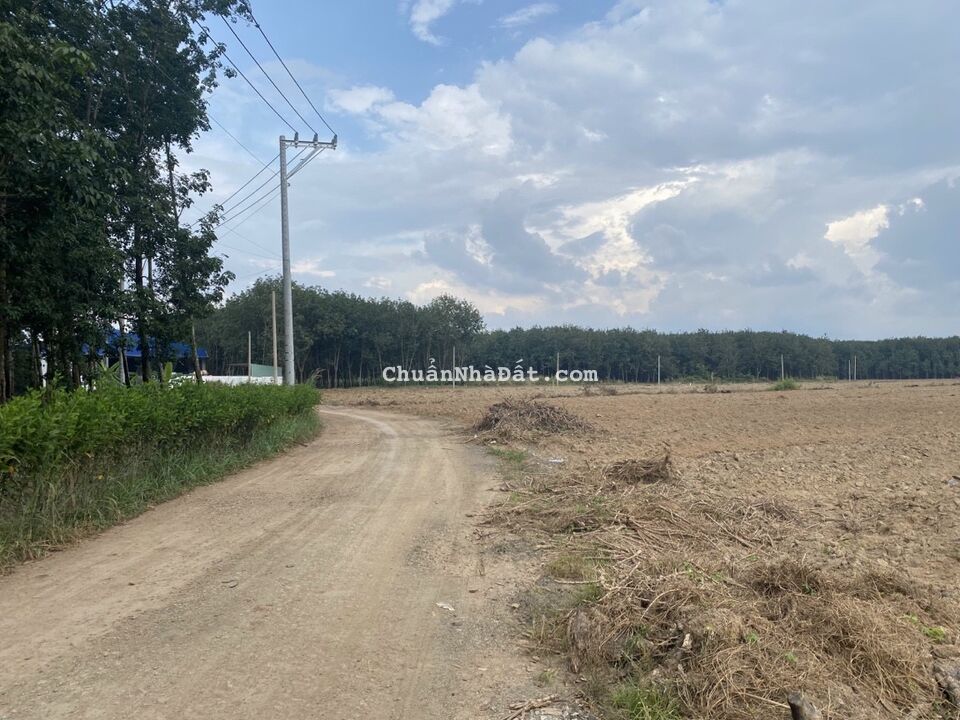 Chính chủ cần bán lô đất sào ngay kcn dt 1000m2 giá chi 480triệu