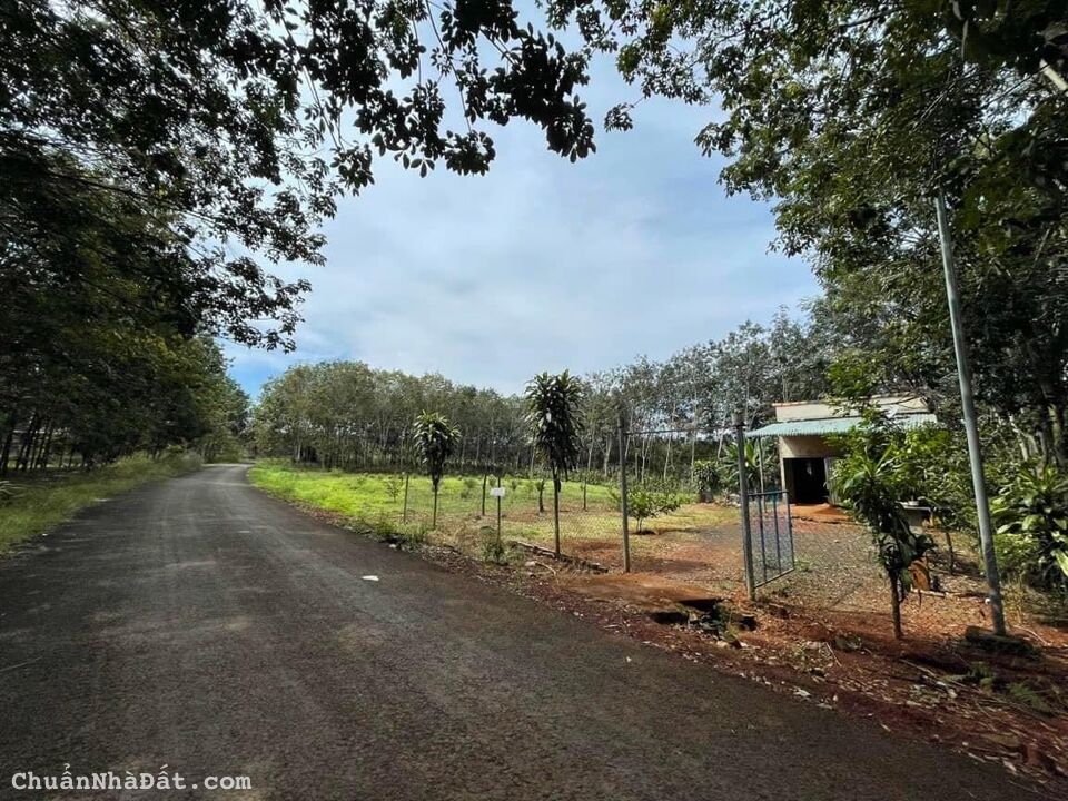 Chính chủ bán gấp lô đất thổ cư 250m2 giá 390triệu ngay chợ