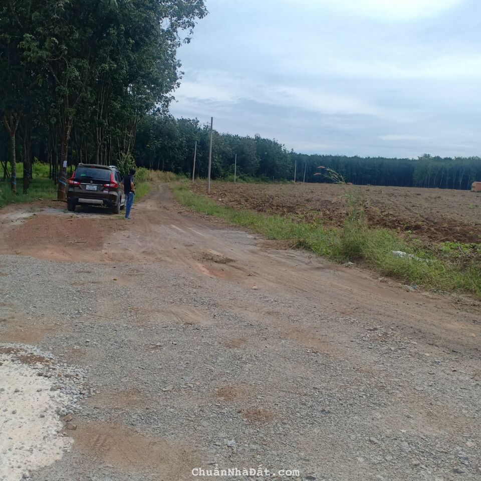 Gia đình em cần bán lô đất soà 2000m2 giá 300triệu 