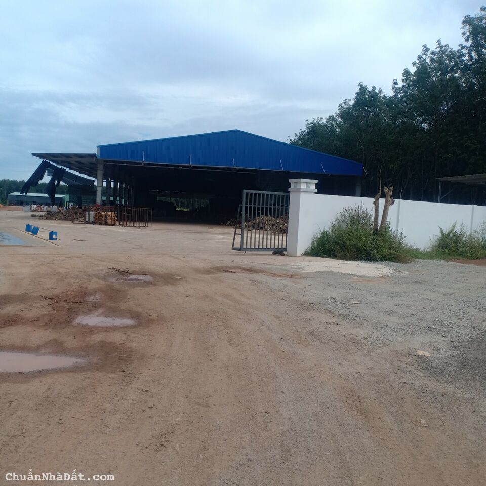 Gia đình em cần bán lô đất soà 2000m2 giá 300triệu 