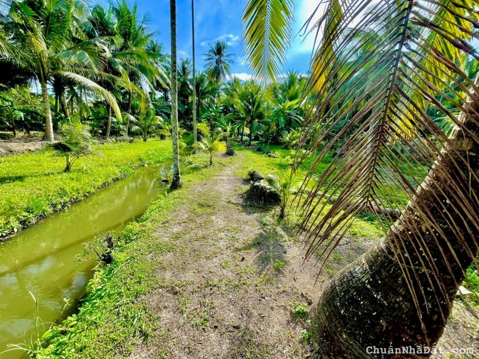 Ngân hàng đáo hạn nên cần bán gấp lô đất cứu chủ ở Nhuận Đức Củ Chi