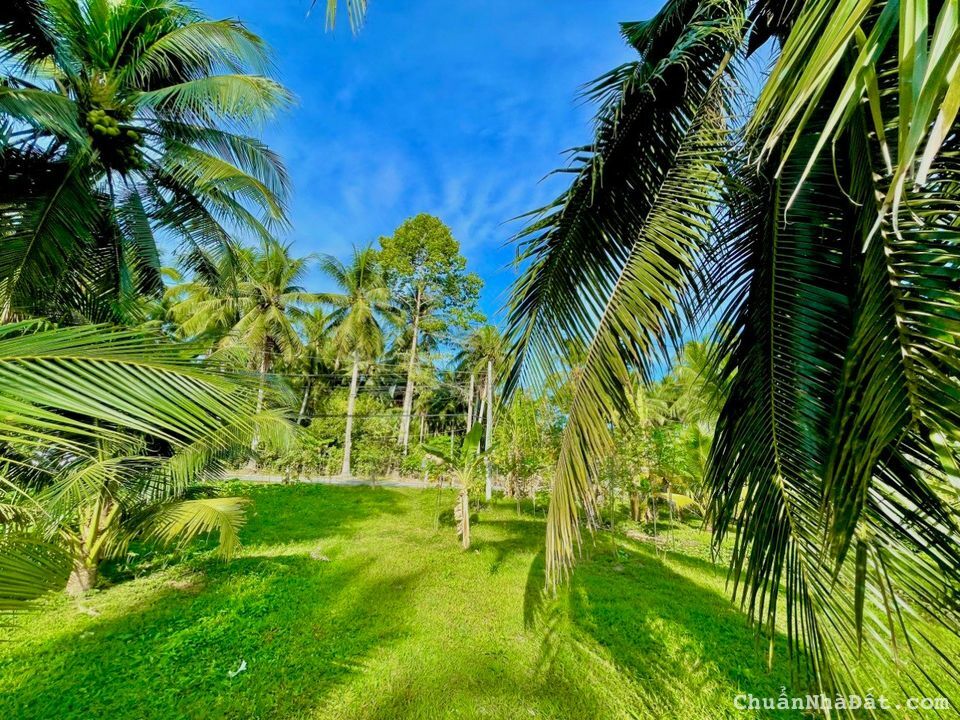 Ngân hàng đáo hạn nên cần bán gấp lô đất cứu chủ ở Nhuận Đức Củ Chi