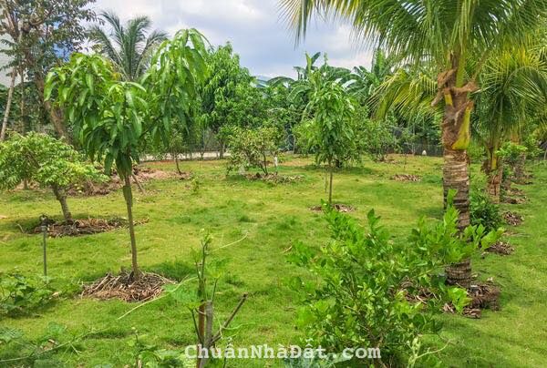 Ngân hàng đáo hạn nên cần bán gấp lô đất cứu chủ ở Nhuận Đức Củ Chi