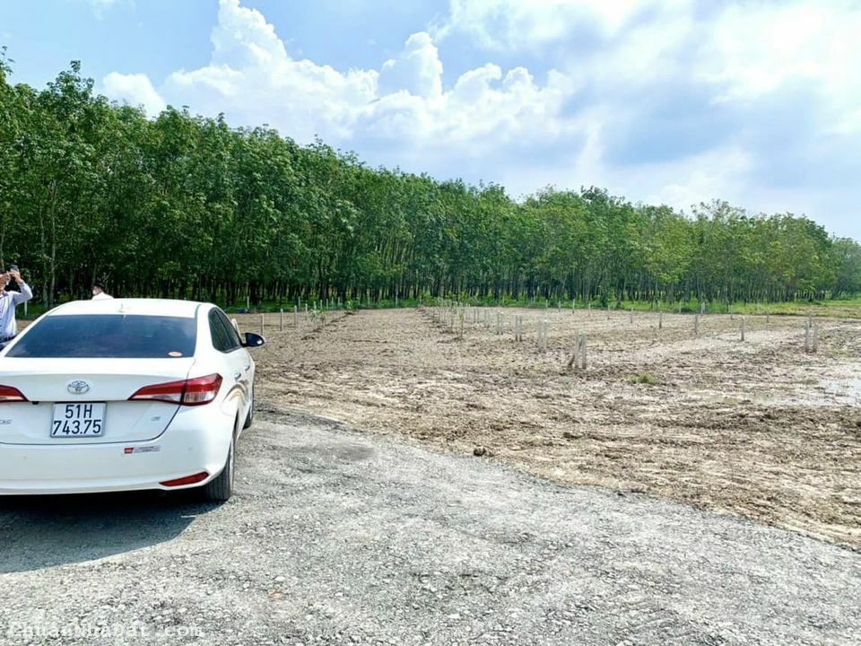 Bán lô đất vườn diện tích 550m2 có thổ ở Phú Mỹ Hưng Củ Chi