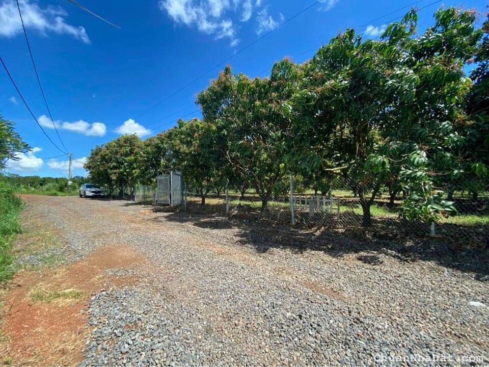 Tôi có mảnh đất vườn có thổ ở Phú Mỹ Hưng Củ Chi