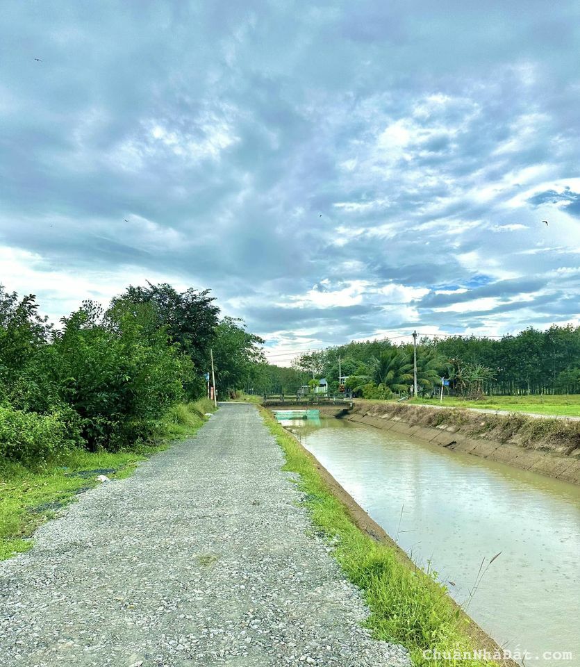 Bán lô đất vườn diện tích 550m2 có thổ ở Phú Mỹ Hưng Củ Chi