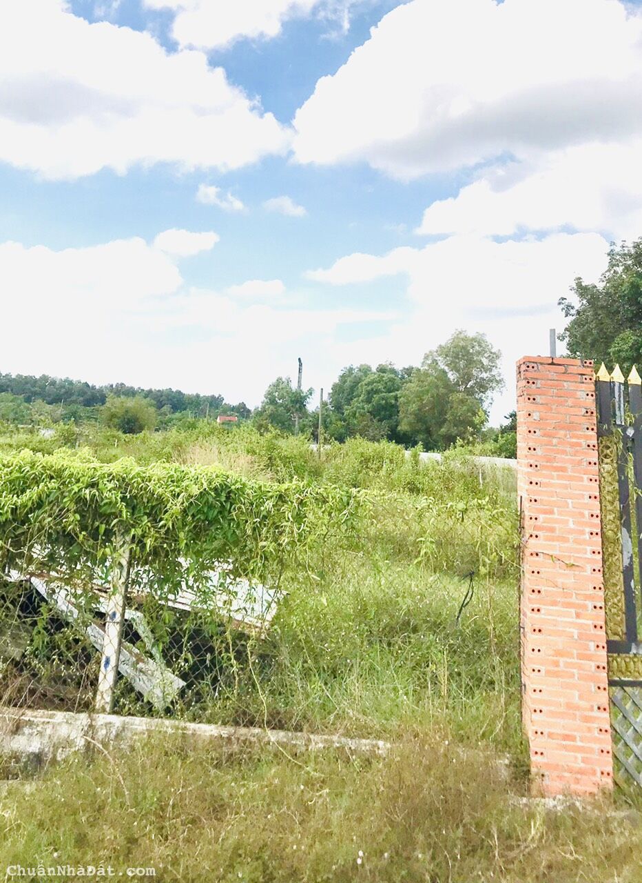 Cần tiền sửa sang lại nhà cửa nên cần bán gấp lô đất ở Trung Lập Hạ Củ Chi diện tích 400m2 giá 1ty1