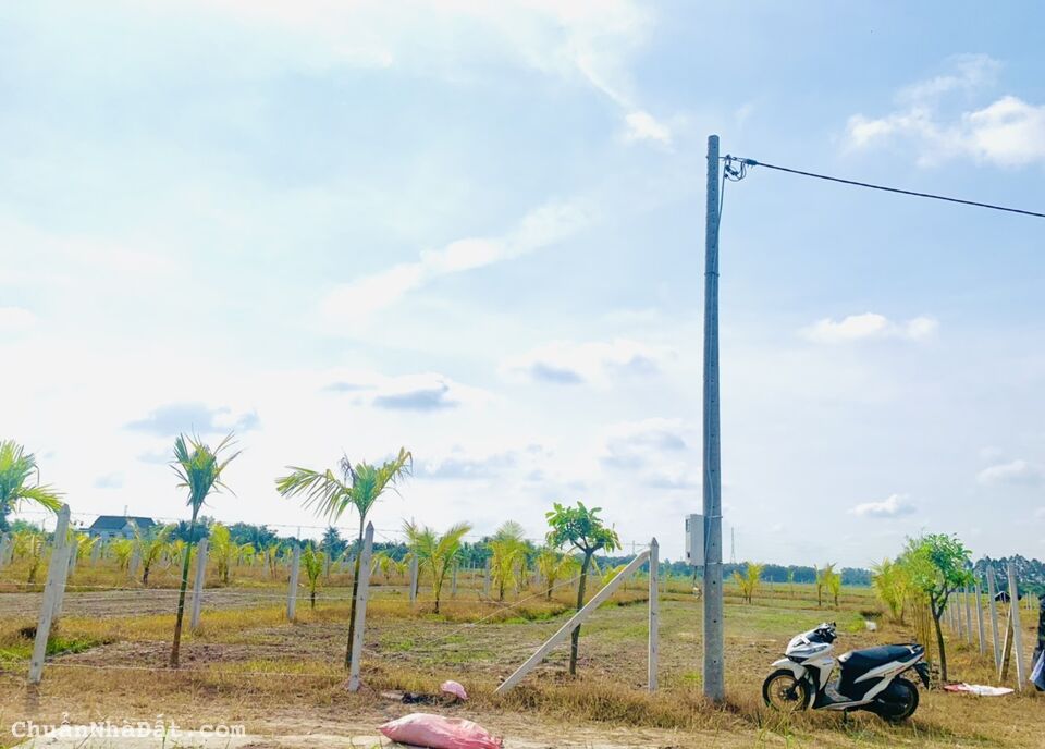 Cần tiền sửa sang lại nhà cửa nên cần bán gấp lô đất ở Trung Lập Hạ Củ Chi diện tích 400m2 giá 1ty1