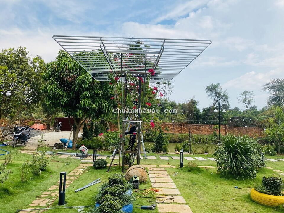 BÁN ĐẤT TÂM HUYẾT CỦA GIA ĐÌNH ĐỂ CHO E GÁI ĐI DU HỌC