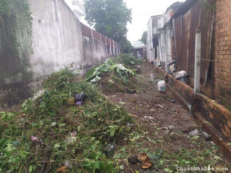 ĐẤT NGAY CẦU VƯỢT CỦ CHI SÁT BÊN CHỢ VIỆT KIỀU ĐẤT NGAY CẦU VƯỢT CỦ CHI SÁT BÊN CHỢ VIỆT KIỀU