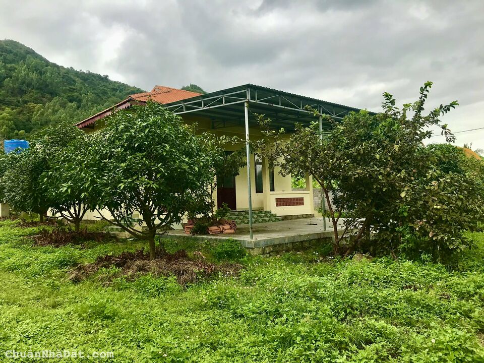 Cần bán đất mặt tiền Tỉnh lộ 3, Phước Đồng, Nha Trang Cần bán đất mặt tiền Tỉnh lộ 3, Phước Đồng, Nha Trang