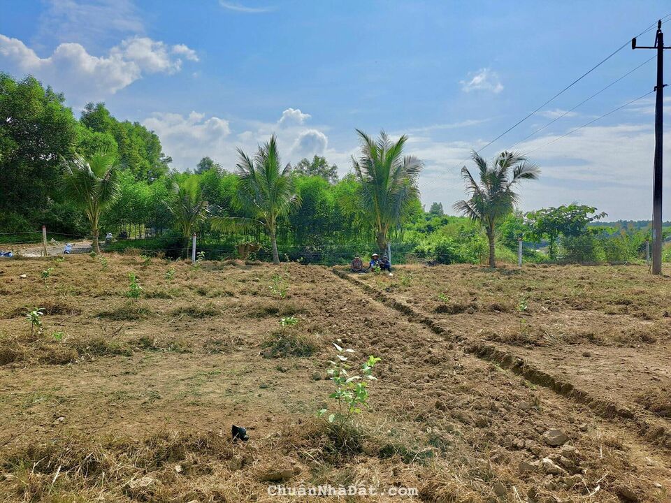 Chỉ 250 triệu sợ hữu mảnh vườn 500m2 trước đường ô tô sau là sông Chò