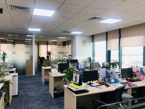 Chính chủ cho thuê văn phòng cực đẹp tại phố Thái Hà, Đống Đa siêu rẻ 20tr