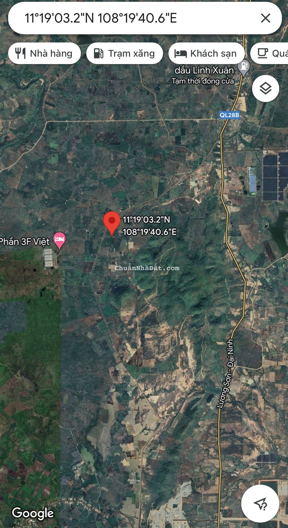 2ha trồng bạch đàn và xoài thuộc Xã Phan Lâm - Nằm cạnh QL28B - Gía cực tốt