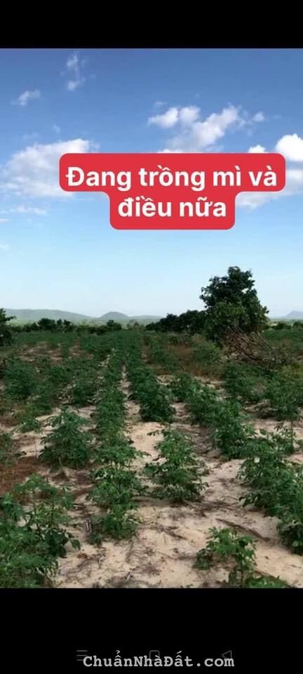 Gần 7ha đất CLN View Núi - 2 mặt tiền đường - Gía chỉ 50k/m2 đầu tư bao lời