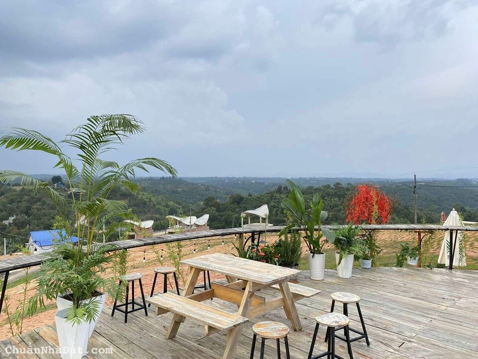 Chỉ TỪ 1.3Tỷ Sở Hữu Ngay Đất Nền - Villa Nghĩ Dưỡng sẵn thổ cư VIEW ĐẠI CÔNG VIÊN - Sổ sẵn 