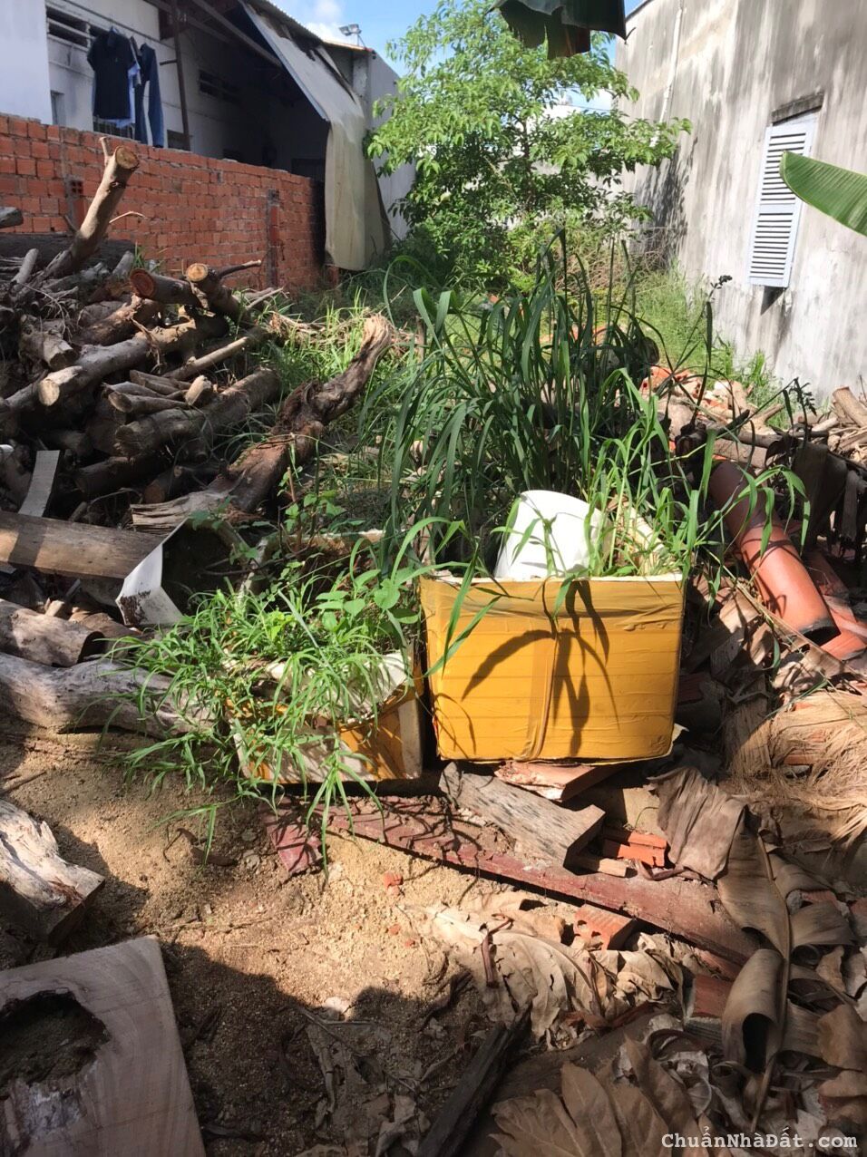 Bán Lô Đất Hẻm 116 Hàn Thuyên, Phường 10, TP.Vũng Tàu