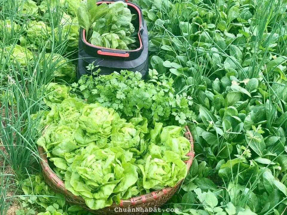 NHÀ VƯỜN HỒ TRỊ AN - NGAY ĐƯỜNG DẪN CAO TỐC DẦU GIÂY – TÂN PHÚ, LIỀN KỀ KHU CÔNG NGHIỆP ĐỊNH QUÁN