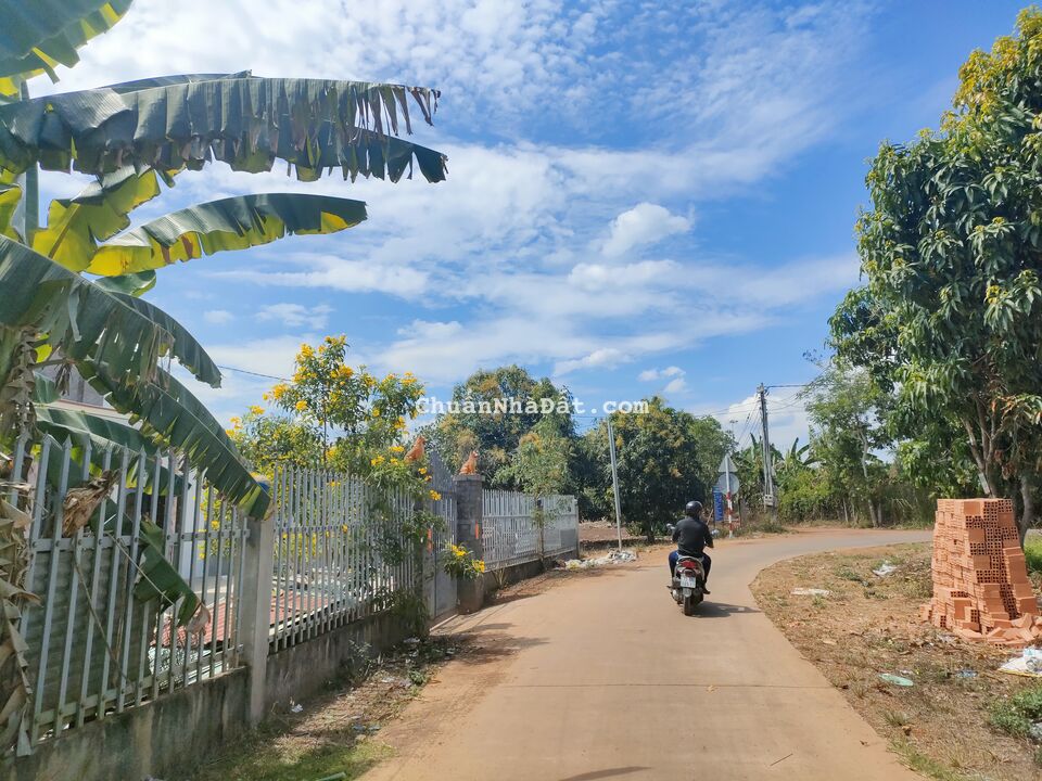 Cần bán nhanh hạ giá 200 triệu còn 680 tr/sào. Sổ hồng công chứng ngay. Cần bán nhanh hạ giá 200 triệu còn 680 tr/sào. Sổ hồng công chứng ngay.