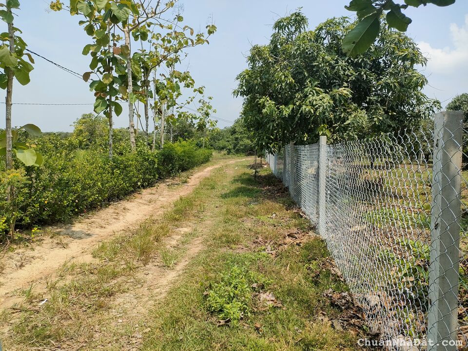 Kẹt tiền bán gấp 1011m2 đất đường ô tô, sổ hồng riêng gần Quốc lộ 20 chỉ 390k/m2