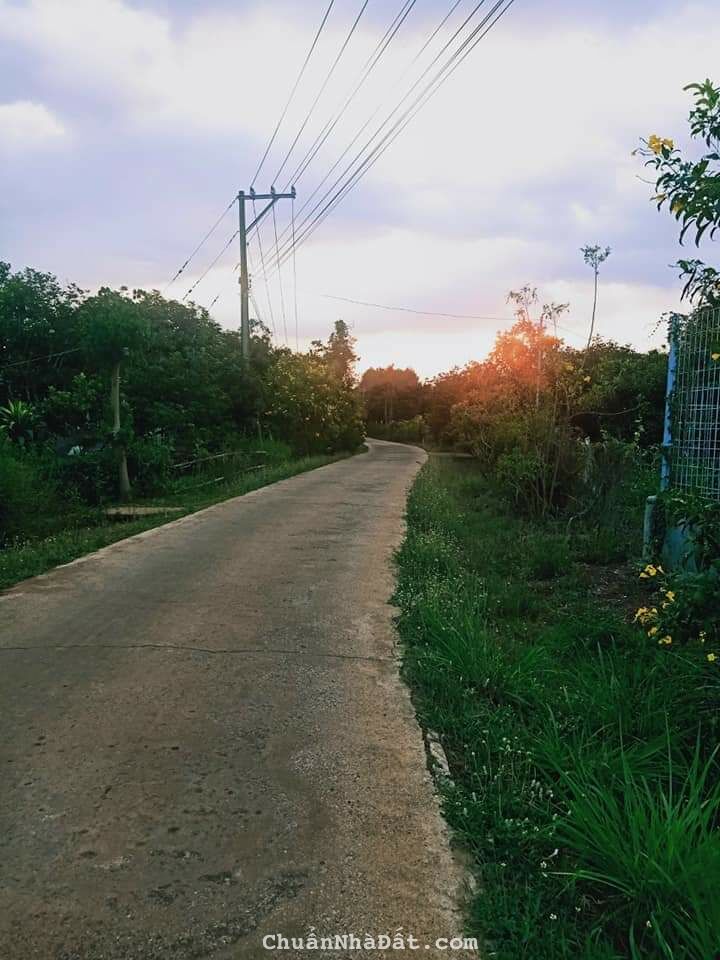 Hàng ngợp bán gấp đất vườn giáp suối, sổ có sẵn, giá chỉ 980 triệu 1308m2