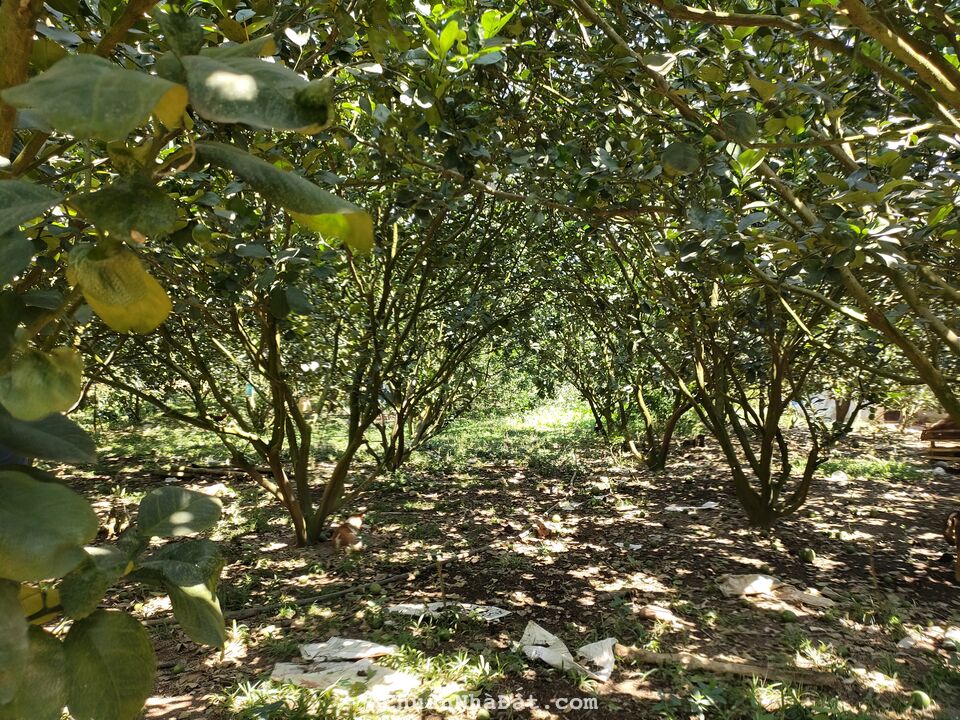 NGỘP Bán nhanh lô đất gần sông La Ngà, KCN Định Quán, sổ sẵn sang tên ngay, đường ô tô