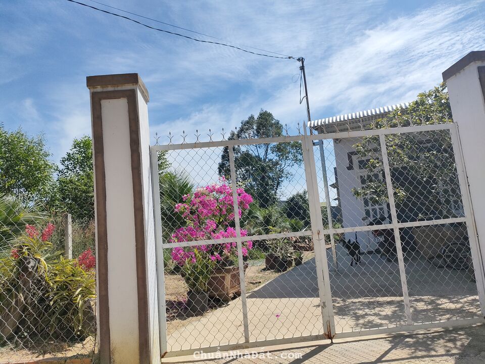 {GẤP} Bán lỗ 200tr lô đất ở ngay gần chợ, trường học La Ngà, đường ô tô tải {GẤP} Bán lỗ 200tr lô đất ở ngay gần chợ, trường học La Ngà, đường ô tô tải